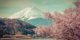 日本地区主题图