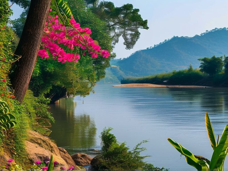 湄公河畔的爆红现象：解码东南亚短视频流量密码