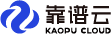 靠谱云公司Logo